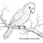Detailed Cockatoo Parrot Coloring Pages for Adults 4