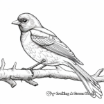 Detailed Dark-eyed Junco Coloring Pages for Adults 3
