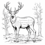 Detailed Elk Bull Coloring Pages For Adults 2