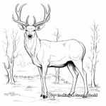 Detailed Elk Bull Coloring Pages For Adults 4