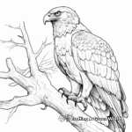 Detailed Golden Eagle for Adults Coloring Pages 3
