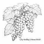 Detailed Grape Vine Coloring Pages for Artists 1