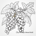 Detailed Grape Vine Coloring Pages for Artists 2
