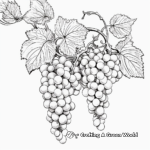 Detailed Grape Vine Coloring Pages for Artists 3