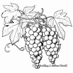 Detailed Grape Vine Coloring Pages for Artists 4