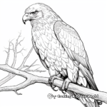 Detailed Harris Hawk Coloring Sheets for Adults 3