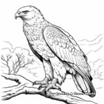 Detailed Harris Hawk Coloring Sheets for Adults 4