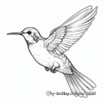 Detailed Hummingbird Coloring Pages for Adults 3