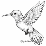 Detailed Hummingbird Coloring Pages for Adults 4