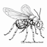 Detailed Insect Anatomy Coloring Pages for Adults 2
