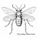 Detailed Insect Anatomy Coloring Pages for Adults 4