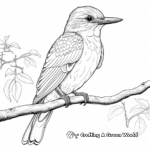 Detailed Kingfisher for Adult Coloring Pages 1