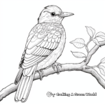 Detailed Kingfisher for Adult Coloring Pages 3