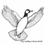 Detailed Loon Wingspan Coloring Pages 1