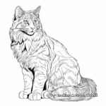 Detailed Maine Coon Cat Coloring Pages 3