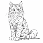 Detailed Maine Coon Cat Coloring Pages for Adults 2