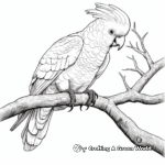 Detailed Major Mitchell’s Cockatoo Coloring Pages 1