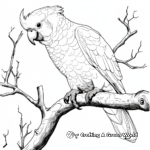 Detailed Major Mitchell’s Cockatoo Coloring Pages 3