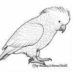 Detailed Major Mitchell’s Cockatoo Coloring Pages 4