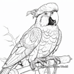 Detailed Military Macaw Coloring Pages for Adults 3