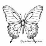 Detailed Monarch Butterfly Coloring Pages 4