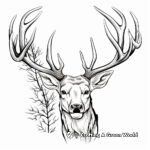 Detailed Moose Antler Coloring Pages for Adults 2