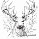 Detailed Moose Antler Coloring Pages for Adults 3