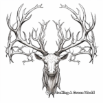 Detailed Moose Antler Coloring Pages for Adults 4
