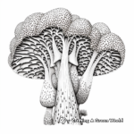 Detailed Morel Mushroom Coloring Pages 1