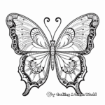 Detailed Morpho Butterfly Mandala Coloring Pages 2