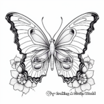 Detailed Morpho Butterfly Mandala Coloring Pages 4