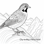 Detailed Mountain Quail Coloring Pages for Adults 2