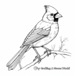 Detailed Northern Cardinal Coloring Pages for Adults 1