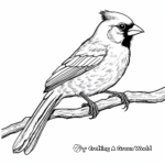 Detailed Northern Cardinal Coloring Pages for Adults 3