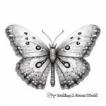 Detailed Owl Butterfly Coloring Pages for Adults 3