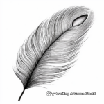 Detailed Peacock Feather Coloring Pages 1