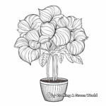 Detailed Peppermint Plant Coloring Pages 1