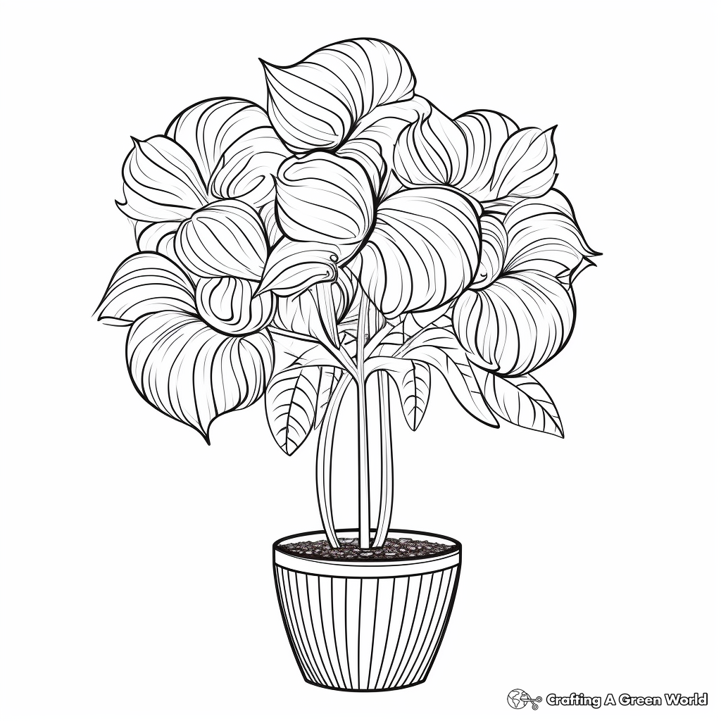 Detailed Peppermint Plant Coloring Pages 1