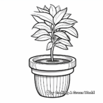 Detailed Peppermint Plant Coloring Pages 4