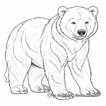 Detailed Polar Bear Coloring Pages for Adults 3