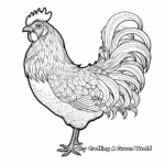 Detailed Poultry Chicken Varieties Coloring Sheets 2
