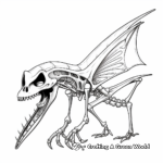 Detailed Pterodactyl Skeleton Coloring Pages 3
