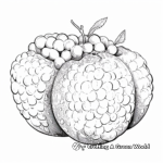 Detailed Raspberry Fruit Anatomy Coloring Pages 1