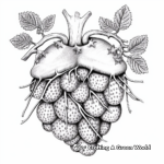 Detailed Raspberry Fruit Anatomy Coloring Pages 2