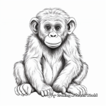 Detailed Realistic Chimpanzee Coloring Pages 3