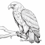 Detailed Realistic Eagle Coloring Sheets 3