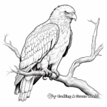 Detailed Realistic Eagle Coloring Sheets 4