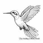 Detailed Realistic Ruby Throated Hummingbird Coloring Pages 2