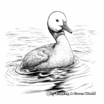 Detailed Red Throated Loon Coloring Pages 3