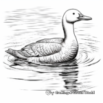 Detailed Red Throated Loon Coloring Pages 4